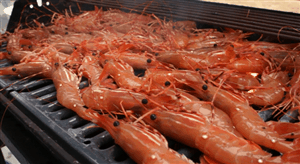 Image result for shrimp on barbecue gif