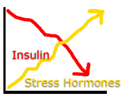 Insulin-Stress-Hormones